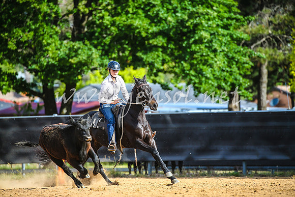 OrangeCampdraft2017_2329
