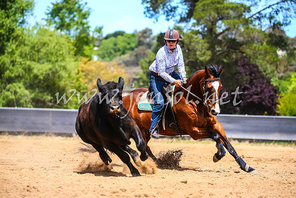 OrangeCampdraft2017_1156