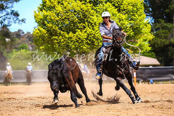 OrangeCampdraft2017_1212