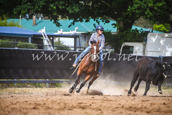 OrangeCampdraft2017_2017