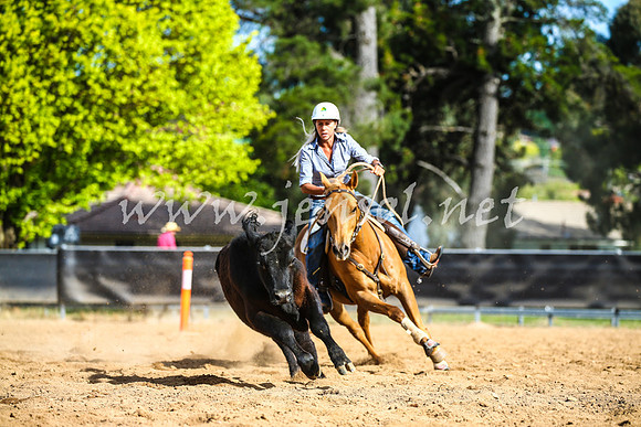OrangeCampdraft2017_2353