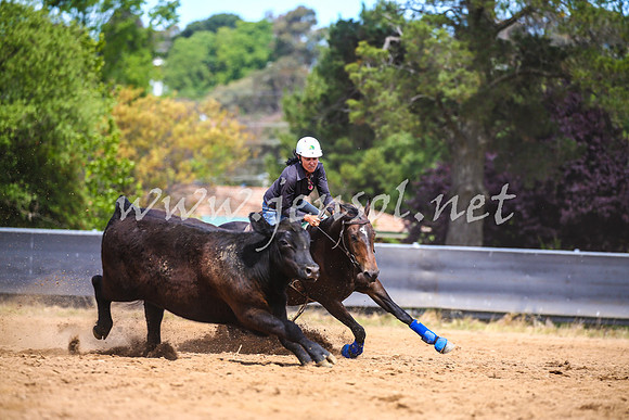 OrangeCampdraft2017_1361