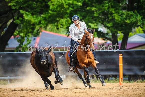 OrangeCampdraft2017_1714