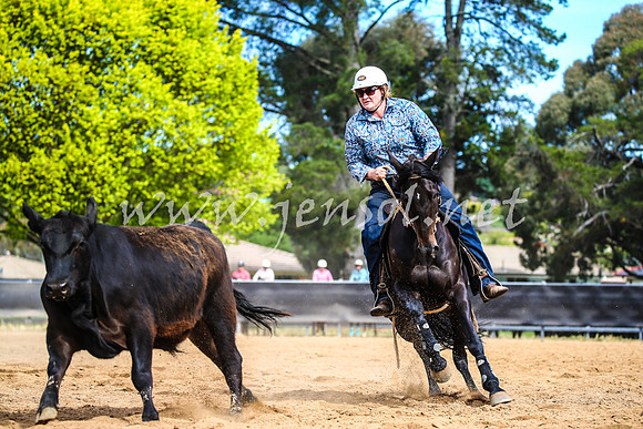 OrangeCampdraft2017_1877