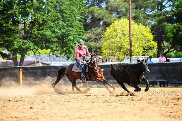 OrangeCampdraft2017_2107