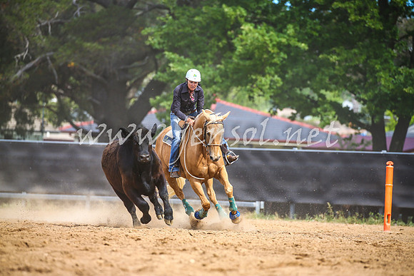 OrangeCampdraft2017_1987