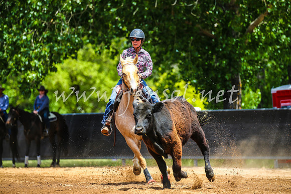 OrangeCampdraft2017_0325