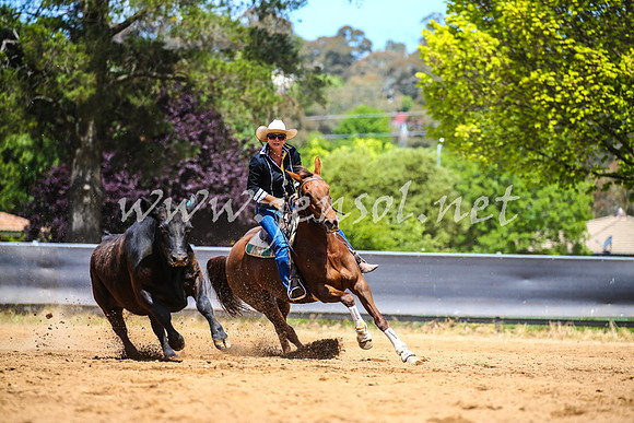 OrangeCampdraft2017_0801
