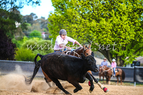 OrangeCampdraft2017_2759