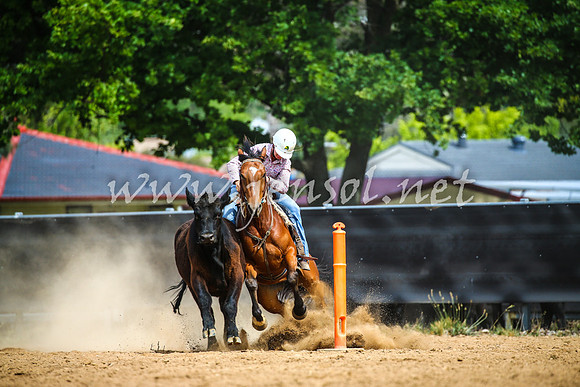OrangeCampdraft2017_1665