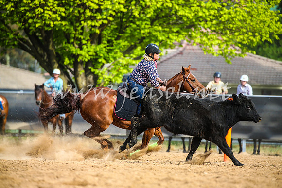 OrangeCampdraft2017_2596