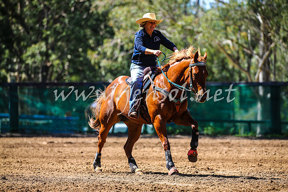 CooranbongABHAOct_0524