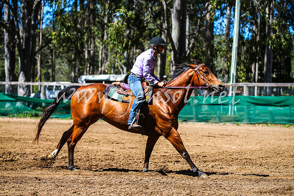 CooranbongABHAOct_0279