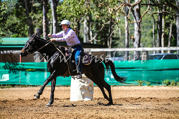 CooranbongABHAOct_0313