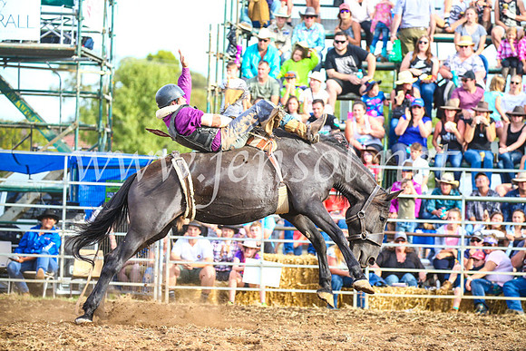 QueanbeyanRodeo2017_3900