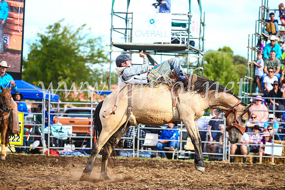 QueanbeyanRodeo2017_3822