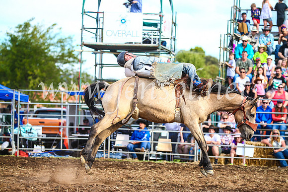 QueanbeyanRodeo2017_3824