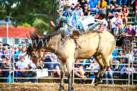 QueanbeyanRodeo2017_3845