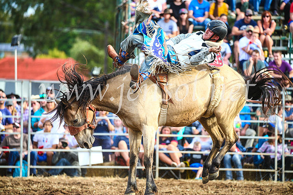 QueanbeyanRodeo2017_3845