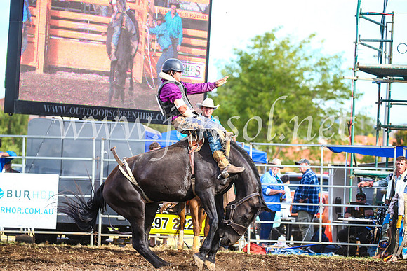 QueanbeyanRodeo2017_3885