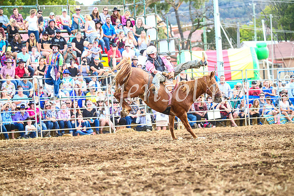 QueanbeyanRodeo2017_3933