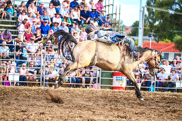 QueanbeyanRodeo2017_3846