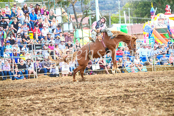 QueanbeyanRodeo2017_3931