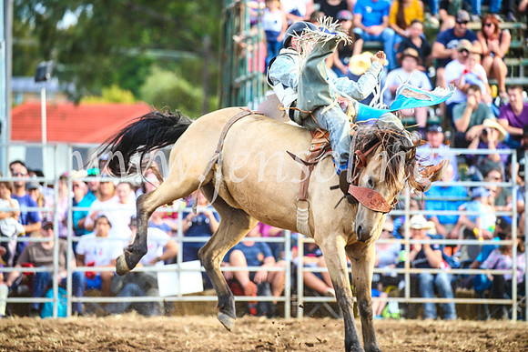 QueanbeyanRodeo2017_3866