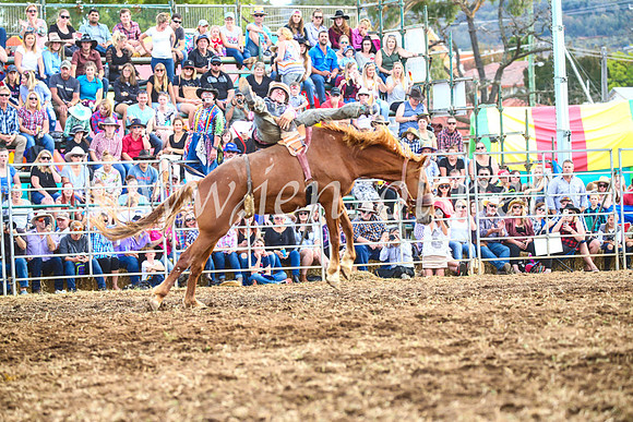 QueanbeyanRodeo2017_3928