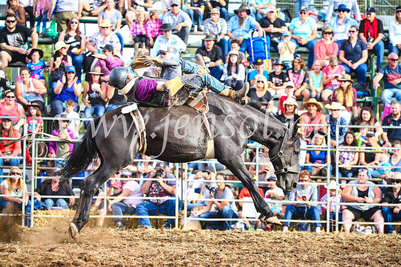 QueanbeyanRodeo2017_3889