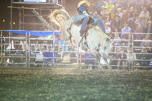 QueanbeyanRodeo2017_4396