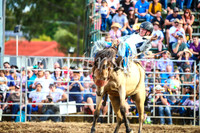 QueanbeyanRodeo2017_3862