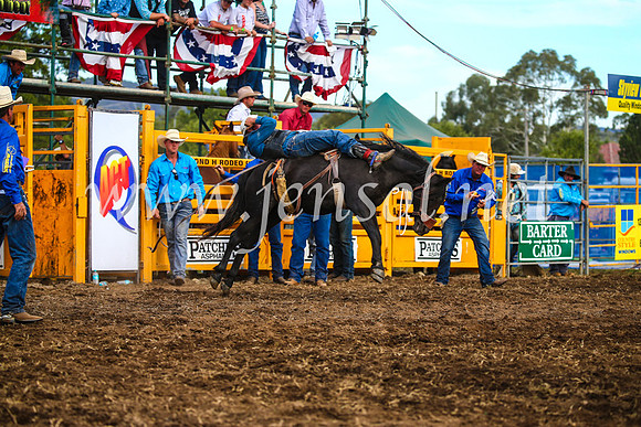 QueanbeyanRodeo2017_3752