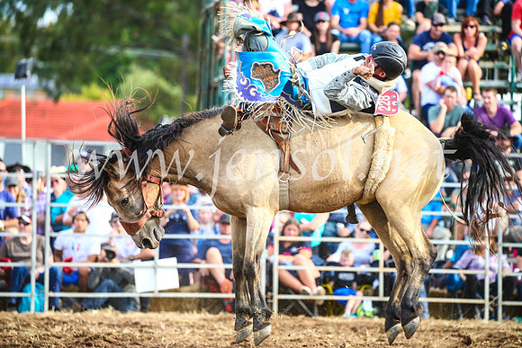 QueanbeyanRodeo2017_3839