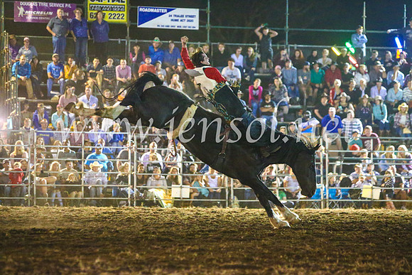 QeanbeyanRodeo2017_4560