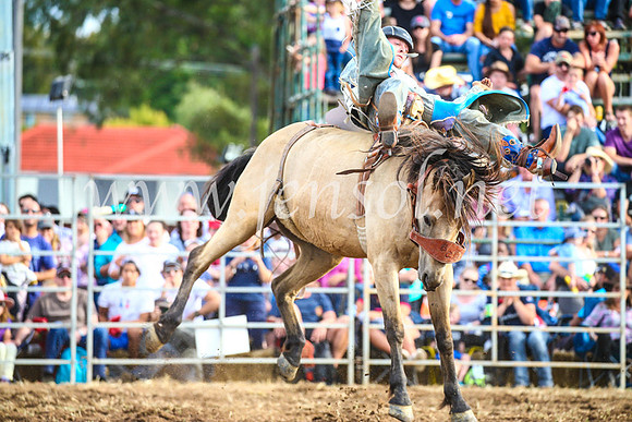 QueanbeyanRodeo2017_3867