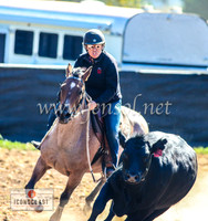 NimmitabelCampdraft2024_0045