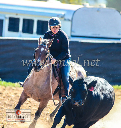 NimmitabelCampdraft2024_0045