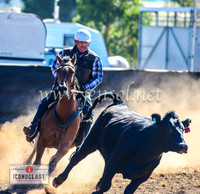 NimmitabelCampdraft2024_0005