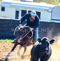 NimmitabelCampdraft2024_0095