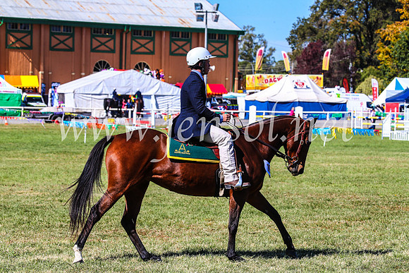 BathurstShow2017Fri_0744