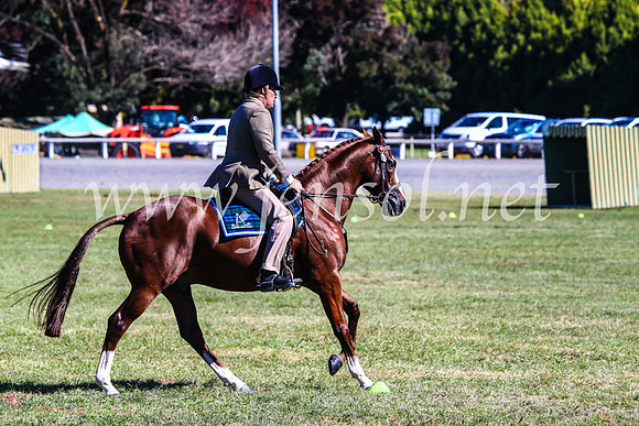 BathurstShow2017Fri_0960