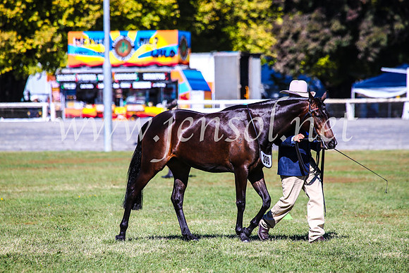 BathurstShow2017Fri_0292