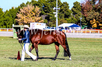 BathurstShow2017Fri_0019