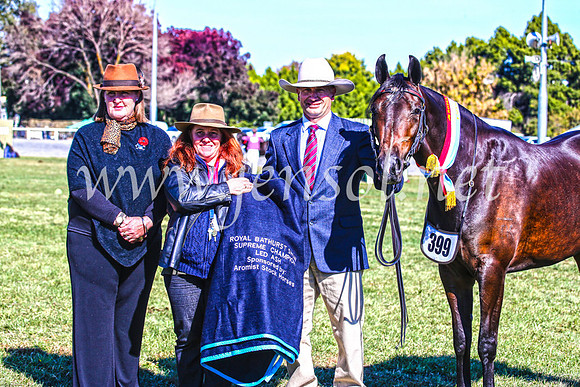 BathurstShow2017Fri_0342