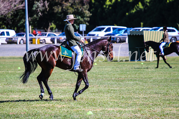 BathurstShow2017Fri_0811