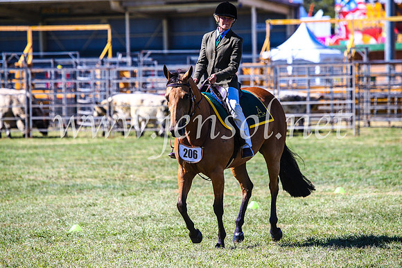 BathurstShow2017Fri_0768