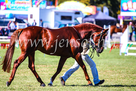 BathurstShow2017Fri_0308
