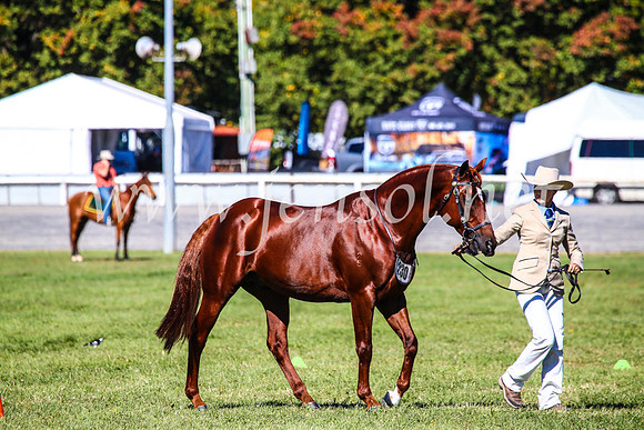 BathurstShow2017Fri_0315