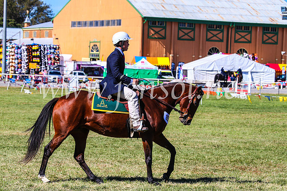 BathurstShow2017Fri_0740